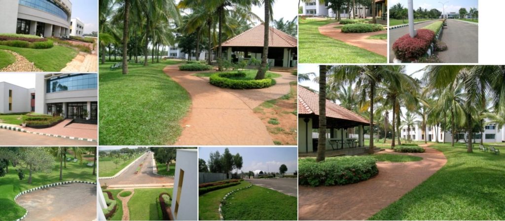 BMS college